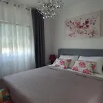 Mimoza * Rogoznica (Sibenik-Knin)