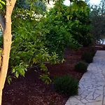 Mimoza Holiday home