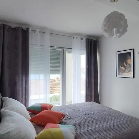 Mimoza * 로고즈니차