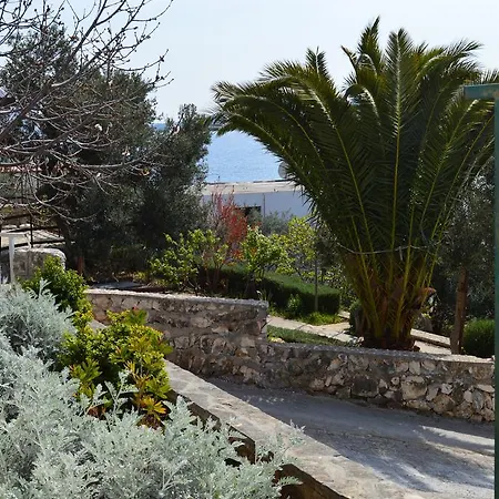 Mimoza 펜션 로고즈니차